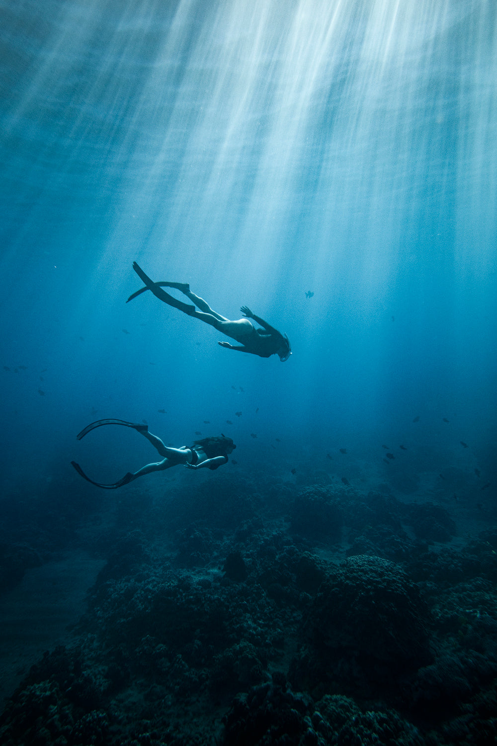 Into the Blue