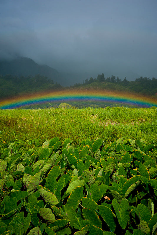 Heʻeia Rainbow