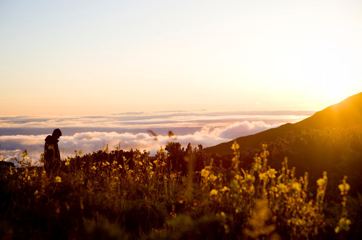 Quiet Haleakalā